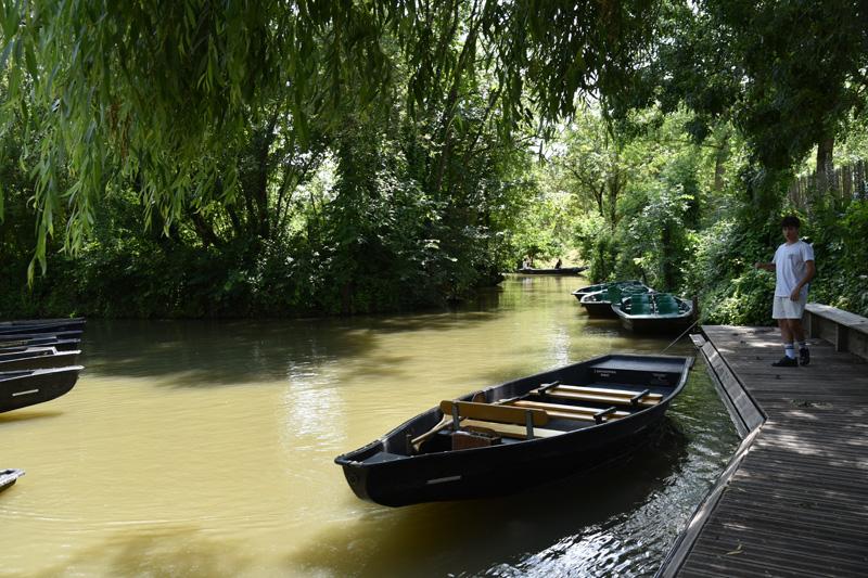 min 2025 06 08 Marais Poitevin 175